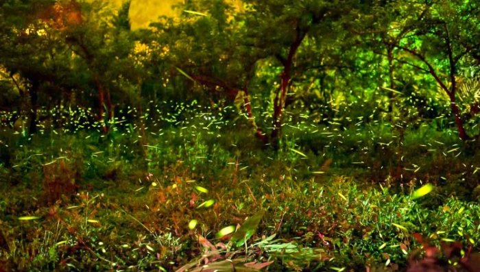 台灣北部生態住宿