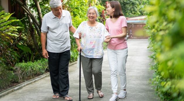 台南老人友善行程