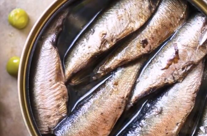 罐頭沙甸魚選購