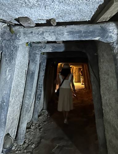 老人家旅遊苗栗