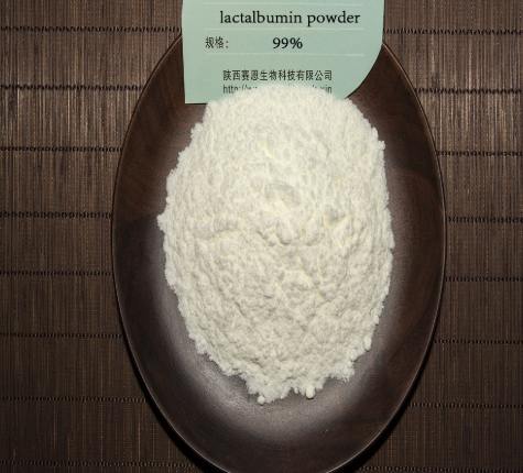 蛋白質含量計算