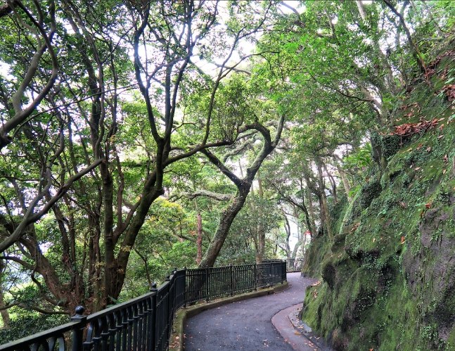 香港太平山旅游