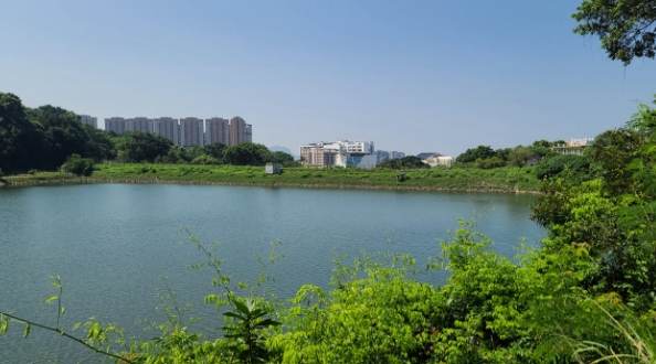 西高山行山路線 西高山行山路線