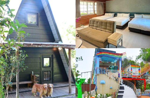 台中帶寵物住宿