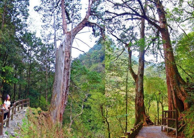 桃园一日游行程 桃园一日游行程