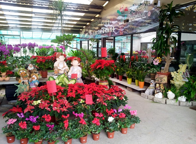 中壢花卉批發市場 中壢花卉批發市場