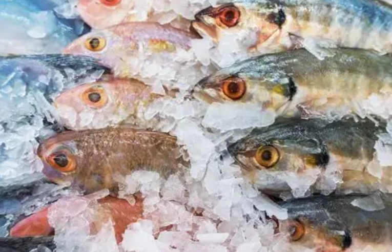 魚冷凍方法
