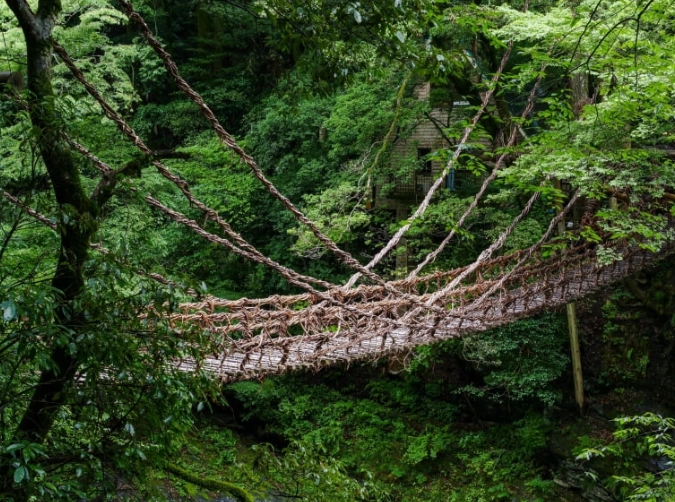 日本祖谷蔓桥修复 日本祖谷蔓桥修复