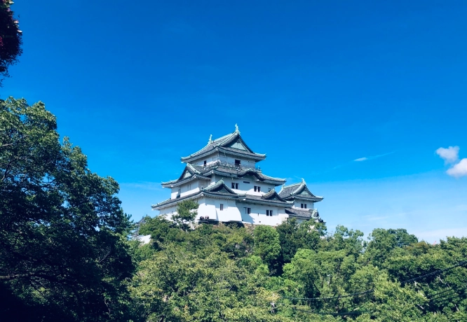 和歌山行程規劃