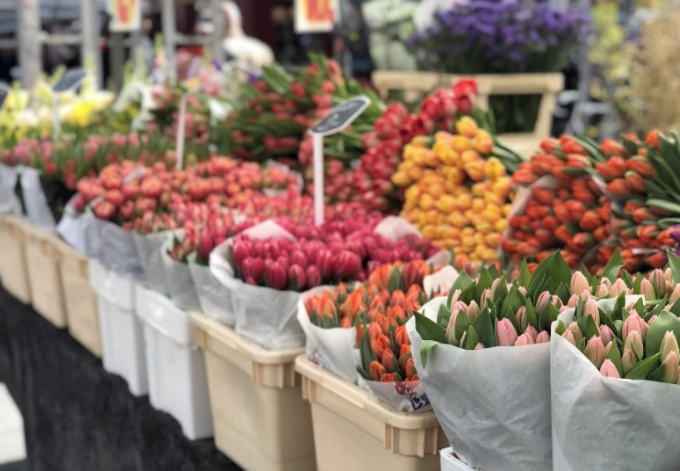 中壢花卉批發市場 中壢花卉批發市場