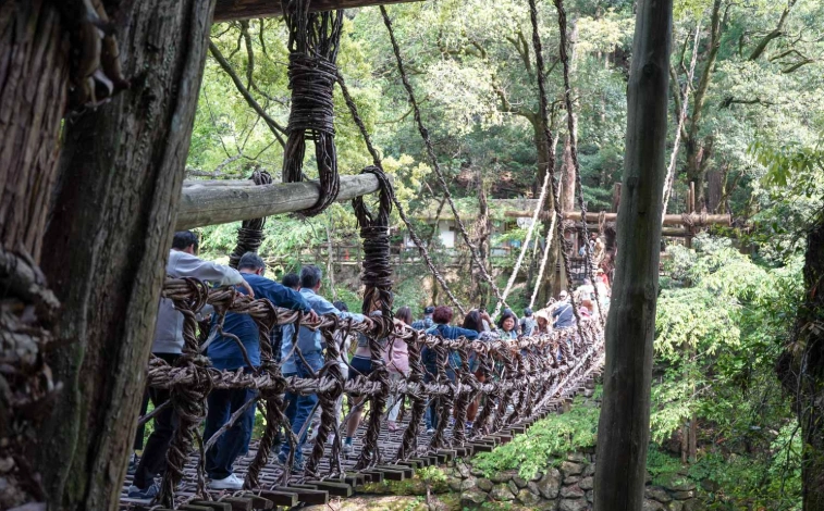 祖谷藤蔓橋