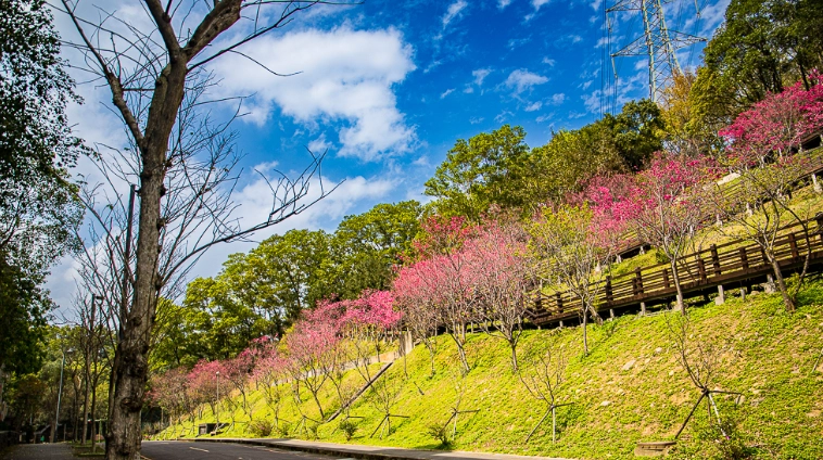 龜山好玩的地方