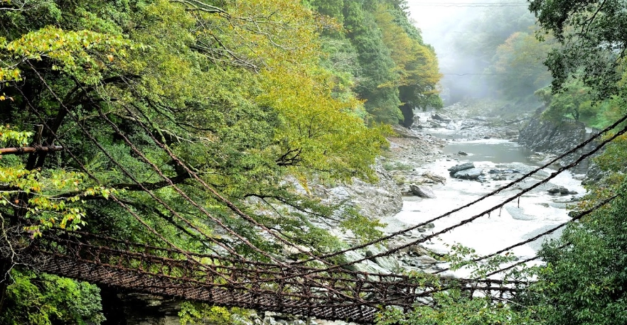 祖谷藤蔓橋