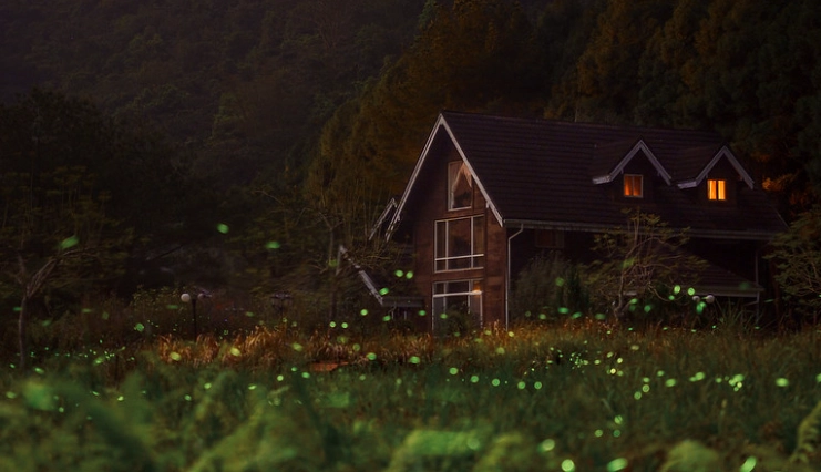 渡假村生態旅遊 渡假村生態旅遊