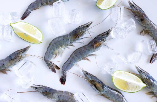 冷凍蝦子注意事項