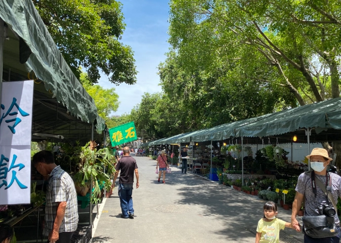 假日花市購物指南