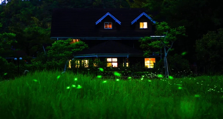 渡假村生態旅遊 渡假村生態旅遊