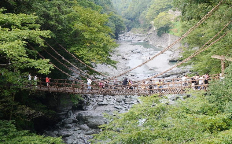 祖谷蔓桥维护 祖谷蔓桥维护