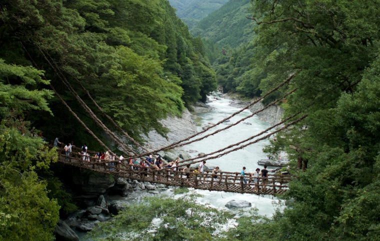 祖谷藤蔓橋遊覽時間