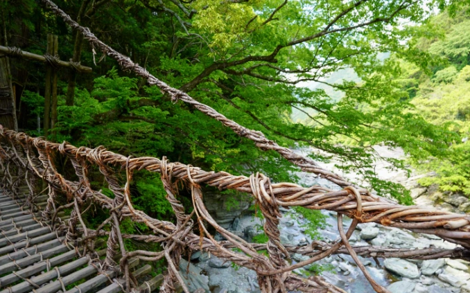 祖谷藤蔓橋 駐車場