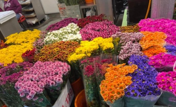 中壢花卉批發市場 中壢花卉批發市場