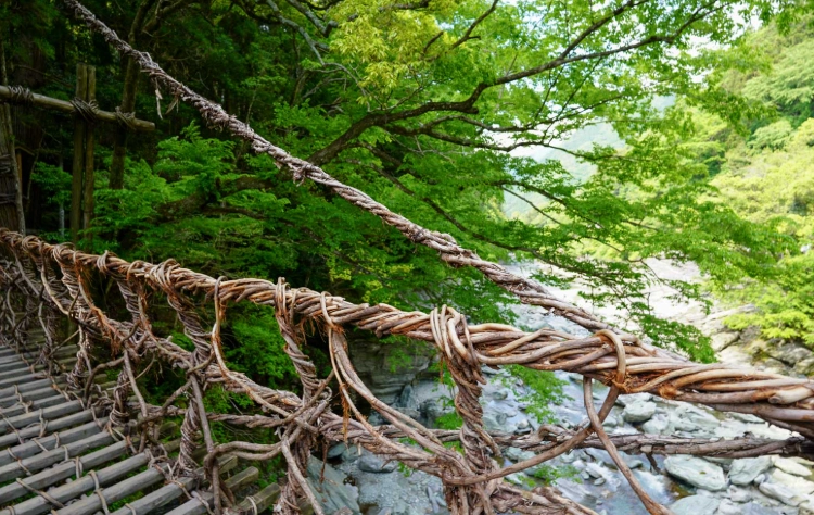 祖谷藤蔓橋參觀時間