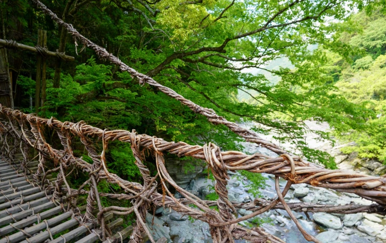 祖谷蔓桥维护 祖谷蔓桥维护