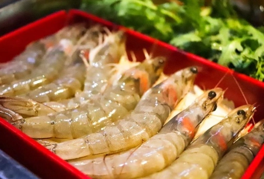 冷凍蝦子注意事項