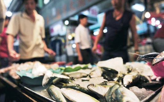 魚變質辨別 魚變質辨別