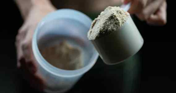 蛋白粉沖泡比例