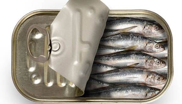 沙甸魚食用安全