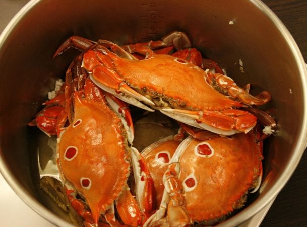 螃蟹蒸煮時間