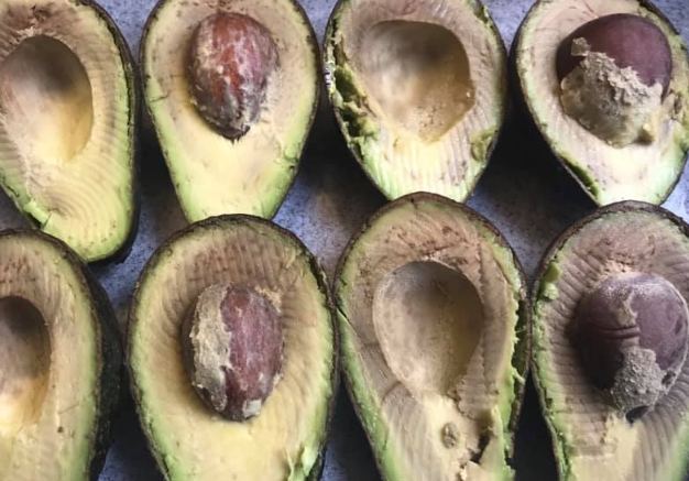 酪梨保存方法 酪梨保存方法