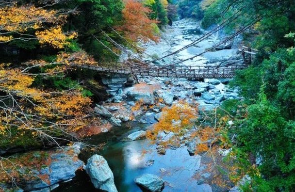 德島祖谷蔓橋攻略