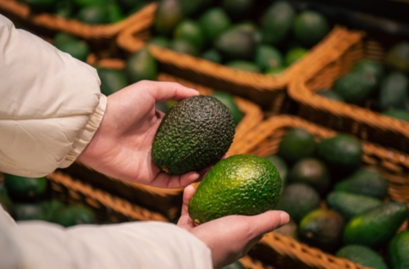 酪梨保存時間 酪梨保存時間