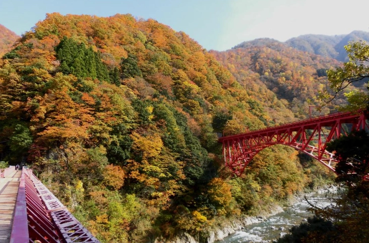 富山紅葉景點