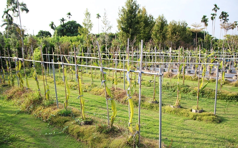 星錡農場門票價格