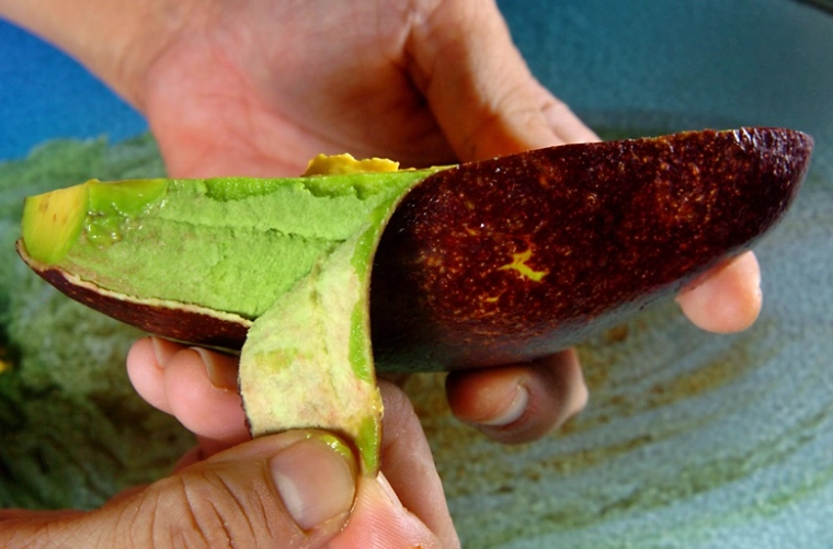 酪梨熟度判斷 酪梨熟度判斷