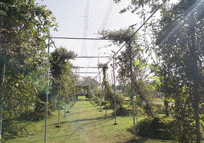 星錡休閒農場優惠