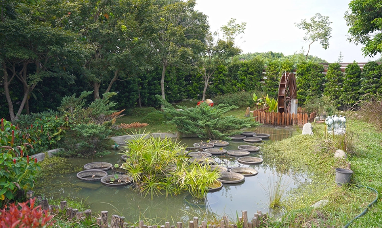 星錡休閒農場評價