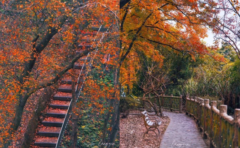 桃園一日遊攻略 桃園一日遊攻略