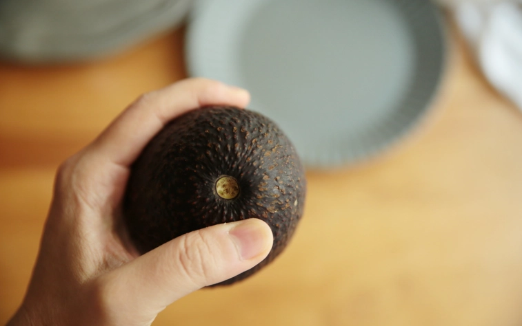 酪梨成熟度 酪梨成熟度