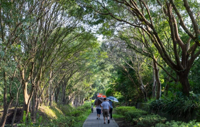 苗栗适合长辈旅游 苗栗适合长辈旅游