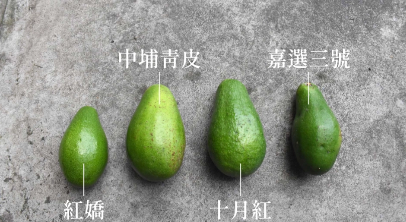 酪梨儲存方法 酪梨儲存方法