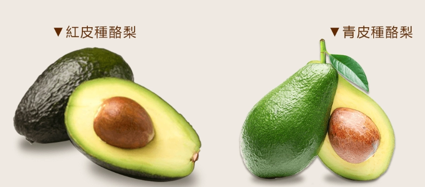 酪梨挑選方法 酪梨挑選方法