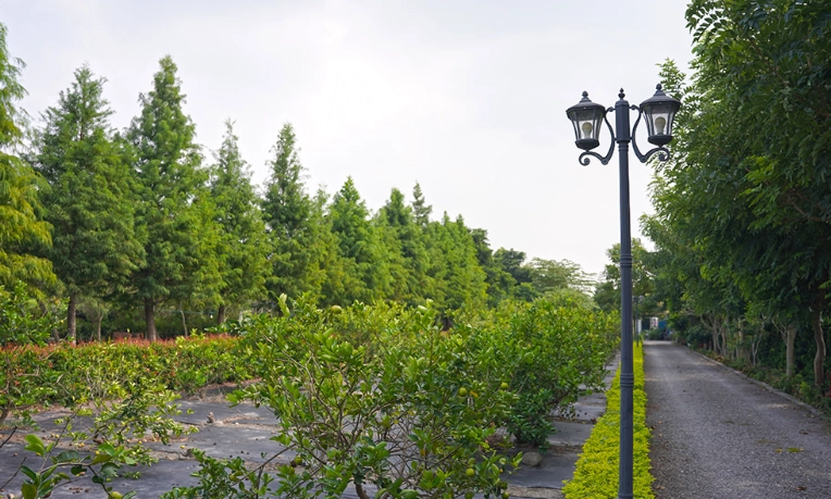 星錡農場門票價格