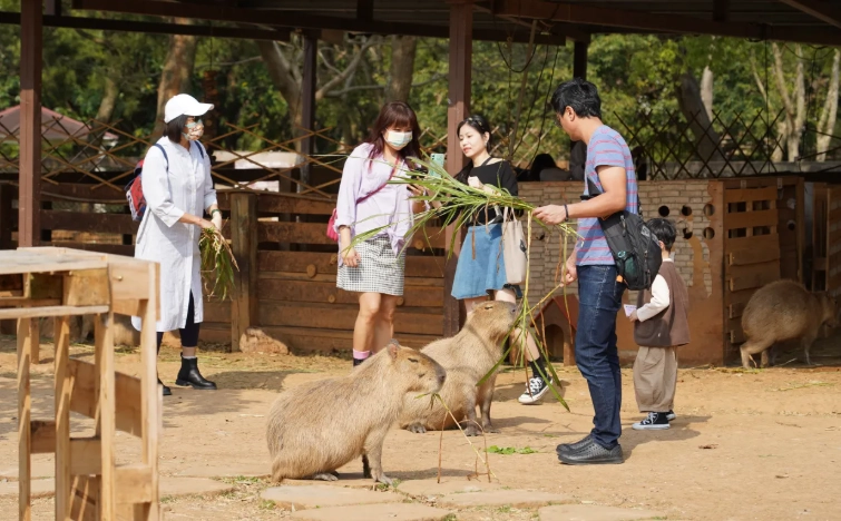 桃園動物農場