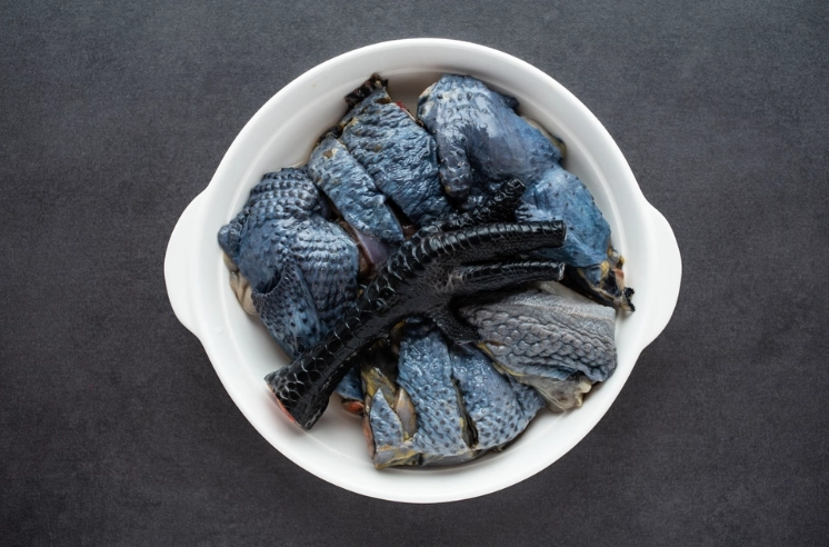 烏骨雞養殖方法