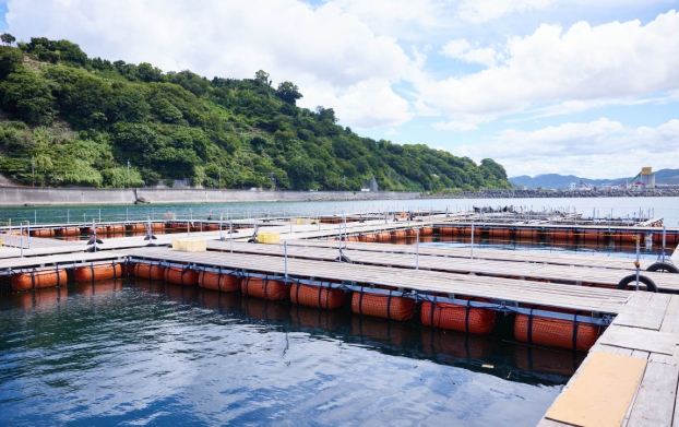 和歌山城周邊旅遊