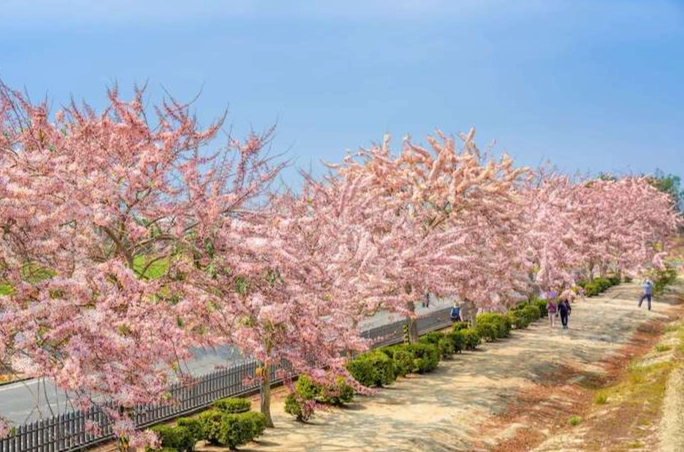 歸仁旅遊景點 歸仁旅遊景點